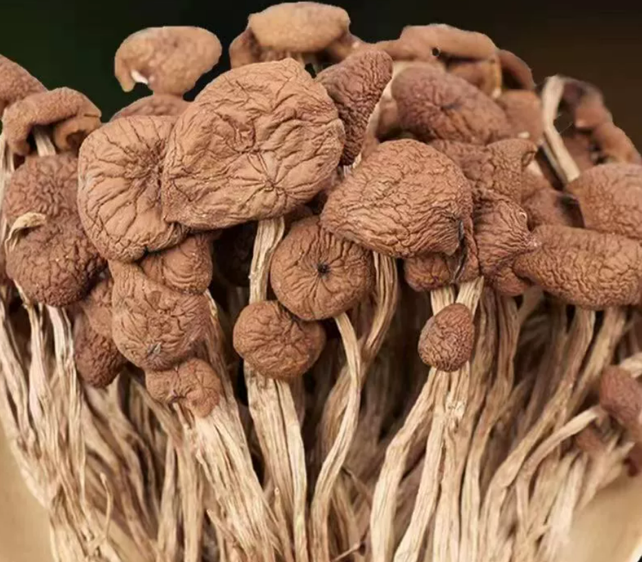 Good Quality Dried Agrocybe Cylindracea Natural Food Grade for Cooking