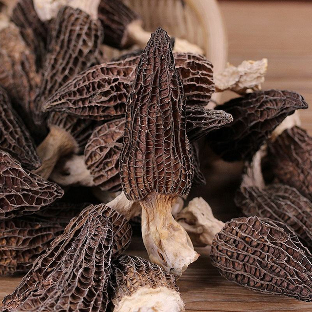 Immunity Boosting 100% Wild Toadstool Dried Morel Morchella Healthy Mushroom