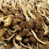 Good Quality Dried Agrocybe Cylindracea Natural Food Grade for Cooking