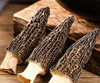 Best Selling Dried Morel Mushroom Agricultural Products Morchella Esculenta