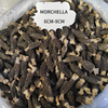 Wholesale Yang Du Jun Health Product Morchella Esculenta Dried Mushrooms