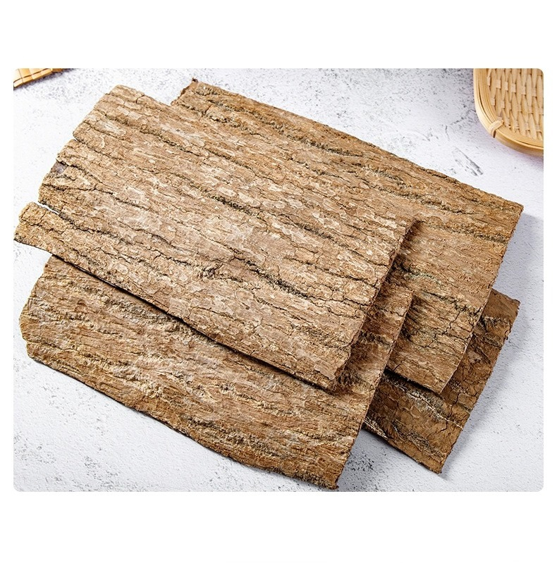 Health Care Tea Chinese Herbal Medicine Dried Eucommia Ulmoides