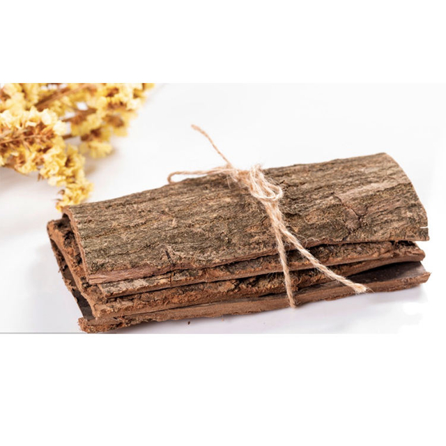Traditional Chinese Herbal Raw Materials Du Zhong Eucommia Ulmoides