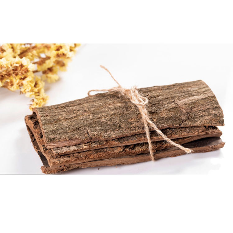 Traditional Chinese Herbal Raw Materials Du Zhong Eucommia Ulmoides
