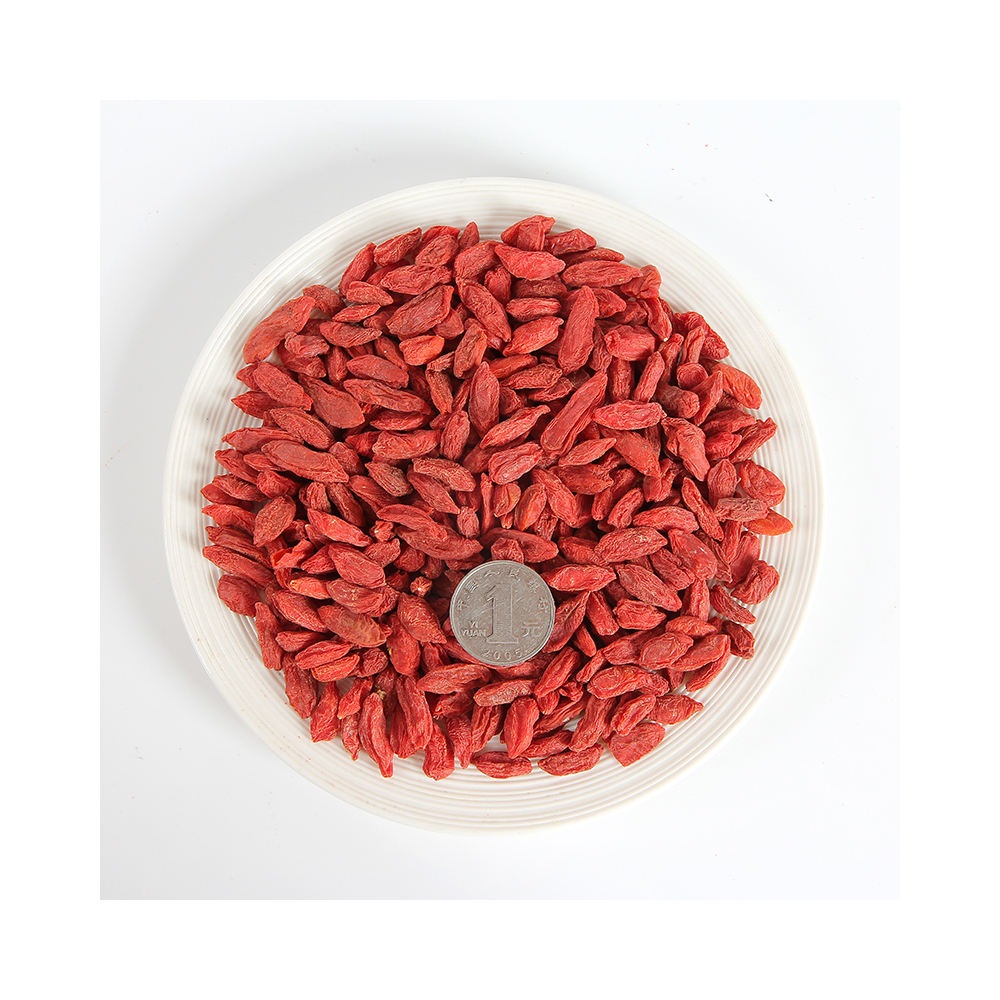 2023 Chinese Delicious Red Medlar Tea Wolfberry Goji Lycium Chinensis