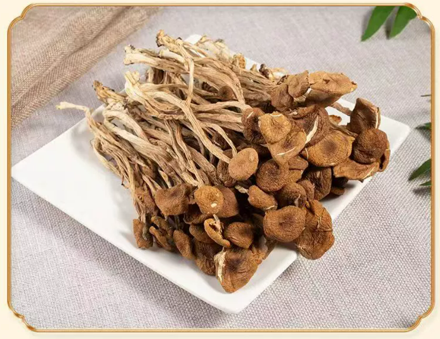 China Manufacture Organic Dried Agrocybe Cylindracea Dried Tea Tree Mushroom