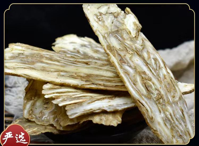 Raw Materials Health Food Chinese Angelica Root Traditional Medicine Herb