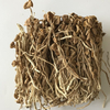 High Quality Affordable Mushrooms Dried Agrocybe Cylindracea Edible