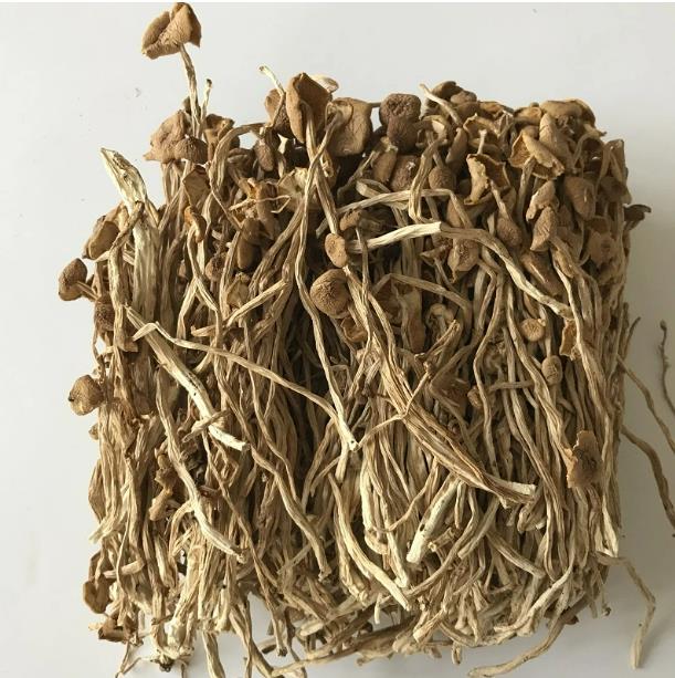 Dried Agrocybe Aegerita Tea Tree Mushroom Natural Agrocybe Cylindracea