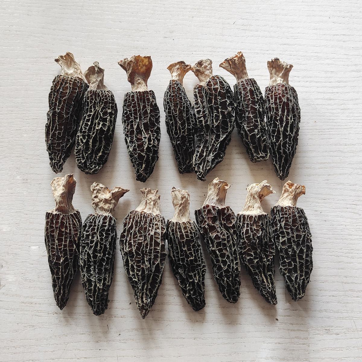 Premium Grade Fungus Delicious Morel Mushroom Dried Morchella Esculenta