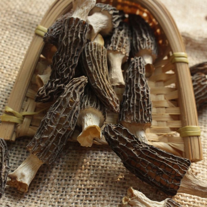 Factory Price Black Dried Morel Mushroom Wholesale Organic Herbs Morchella