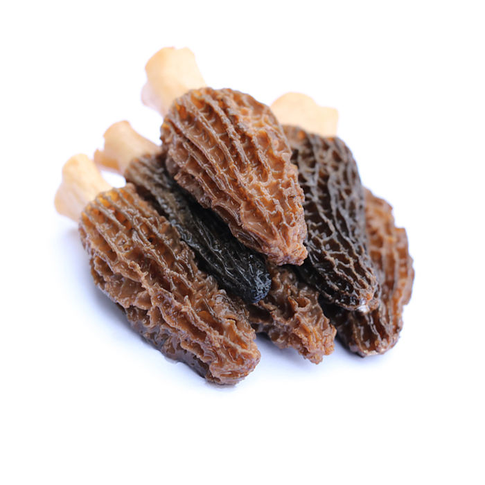 Immunity Boosting 100% Wild Toadstool Dried Morel Morchella Healthy Mushroom