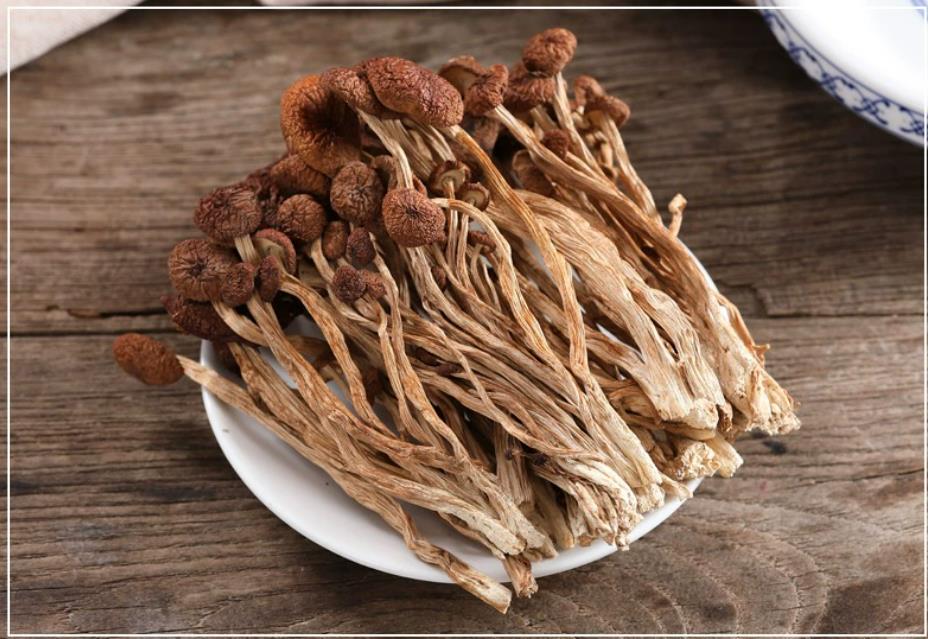 Dried Agrocybe Aegerita Tea Tree Mushroom Natural Agrocybe Cylindracea