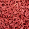 2023 High Quality Goji Lycium Chinensis Dried Fruit Wolfberry for Sale