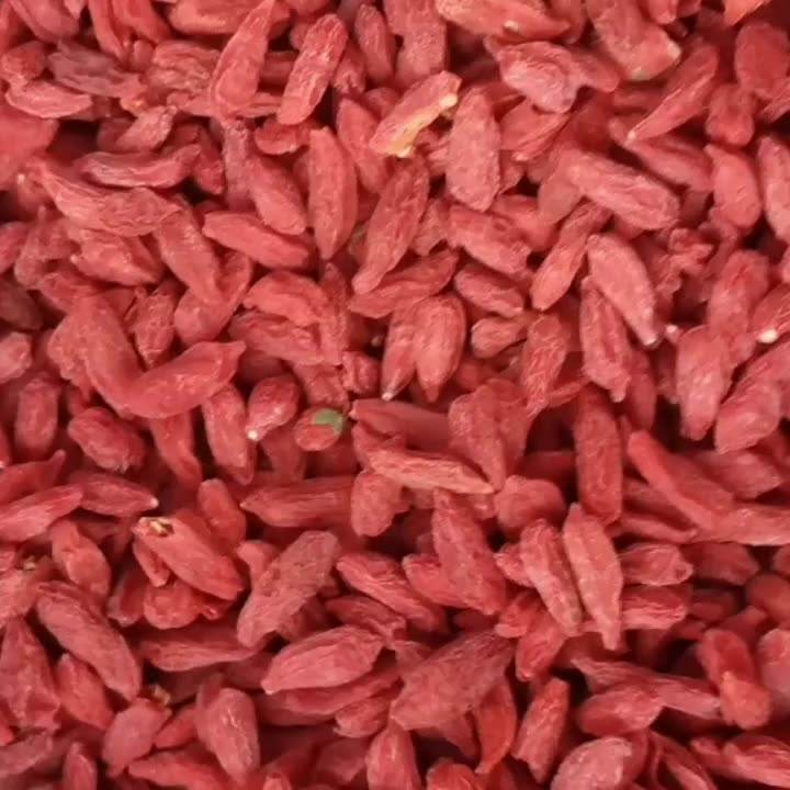 2023 High Quality Goji Lycium Chinensis Dried Fruit Wolfberry for Sale