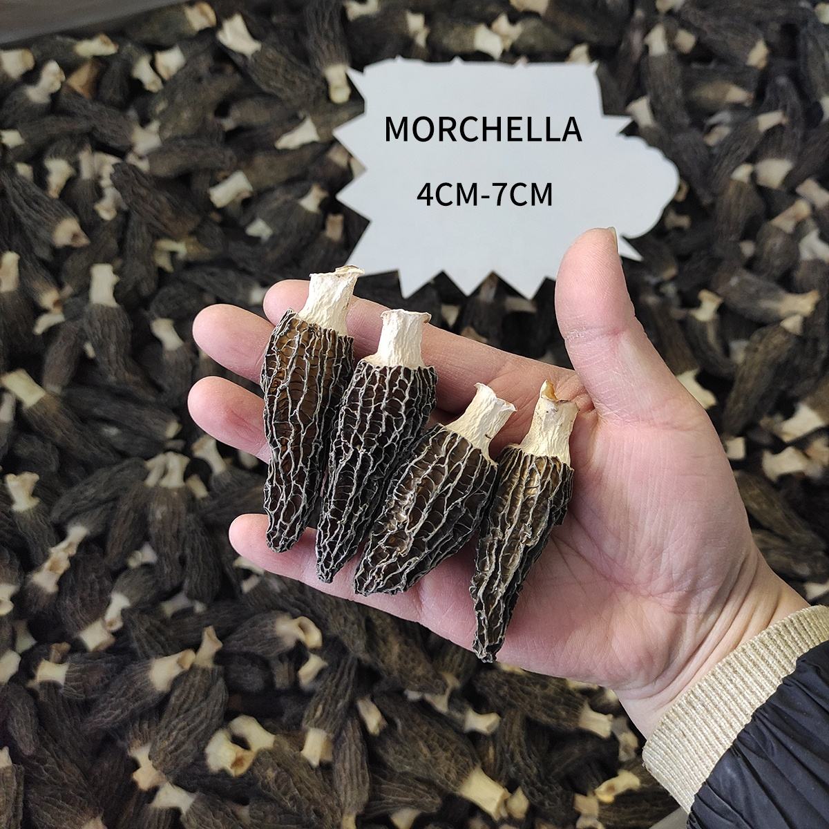 Factory Price Black Dried Morel Mushroom Wholesale Organic Herbs Morchella