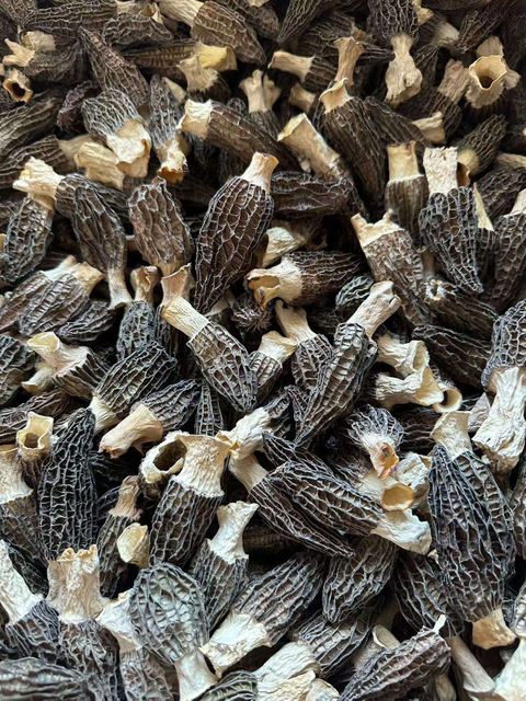 China Premium Wild Morel Natural Herbs Dry Morchella Mushrooms