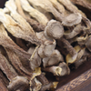 Wholesale Chinese Organic Herbs Natural Dried Velvet Antler Mushroom