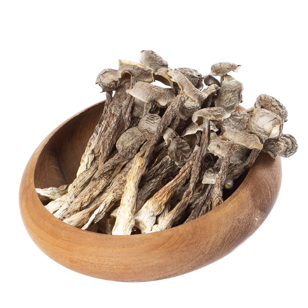 100% Natural Dried Herbs Keep Beauty Food Deer Antler Mushroom