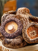 Factory Price Dried Shiitake Mushrooms Improve Immunity Dried Mushrooms