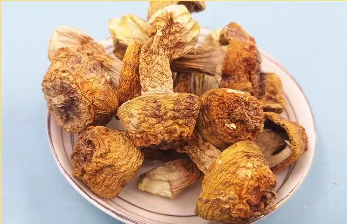 Wholesale Dried Agaricus Bazei Murill Mushroom Dried Agaricus Herbs