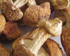 Great Quality Organic Agaricus Blazei Natural Herbs Delicious Wild Mushrooms