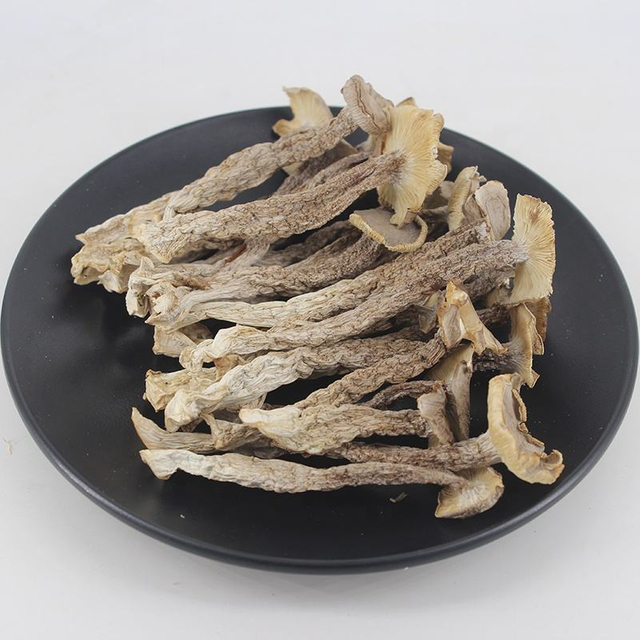 Top Quality Antler Mushroom Natural Herbs Health Product Pilose Antler Mushroom