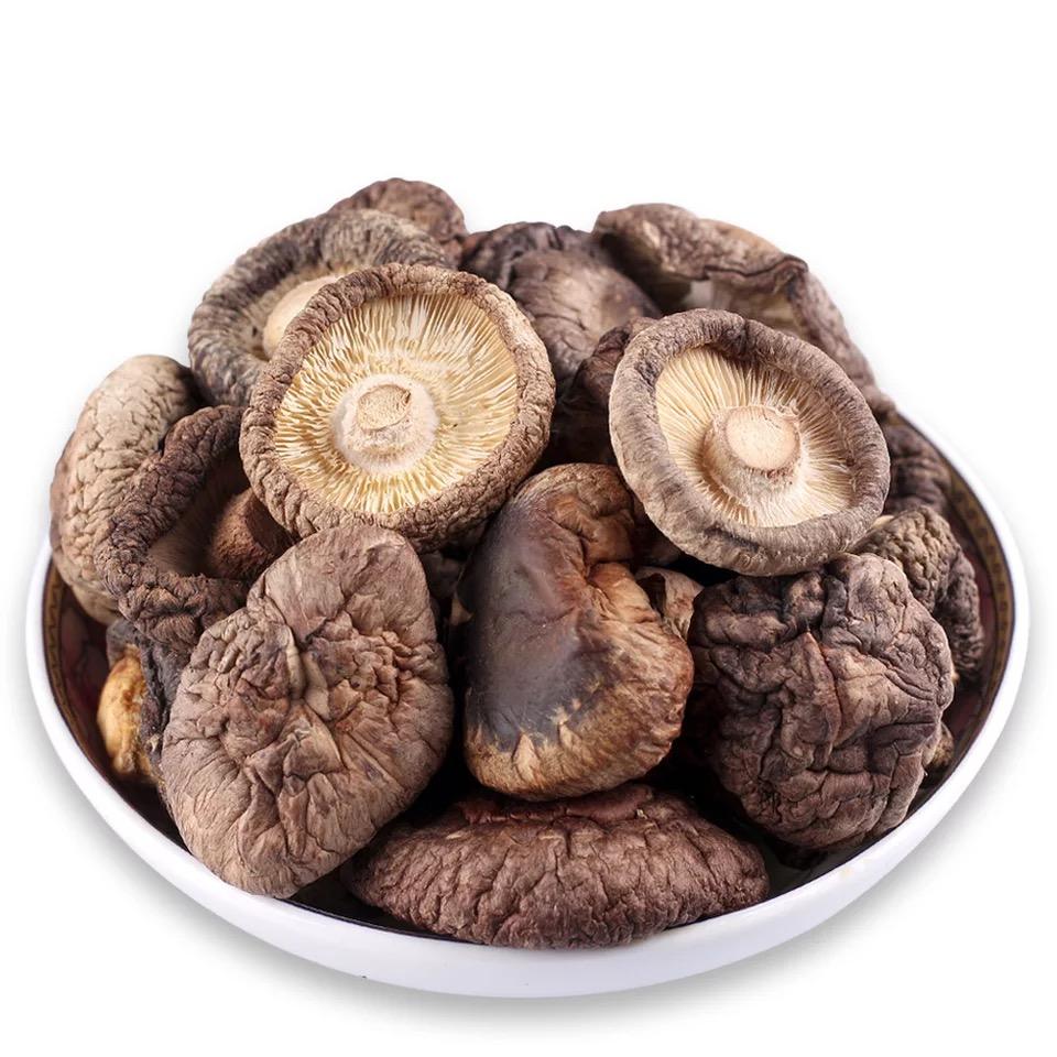 High Quality Fresh Type Natural Herbs Flower Shiitake Mushrooms for Cooking