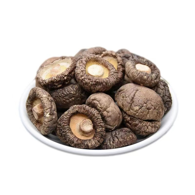 100% Organic Dried Vitamin Supplement Health Care Shii-Take Mushroom