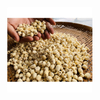 Large Grain 100% Natural Dried Health Care White Coreless Lotus Seed