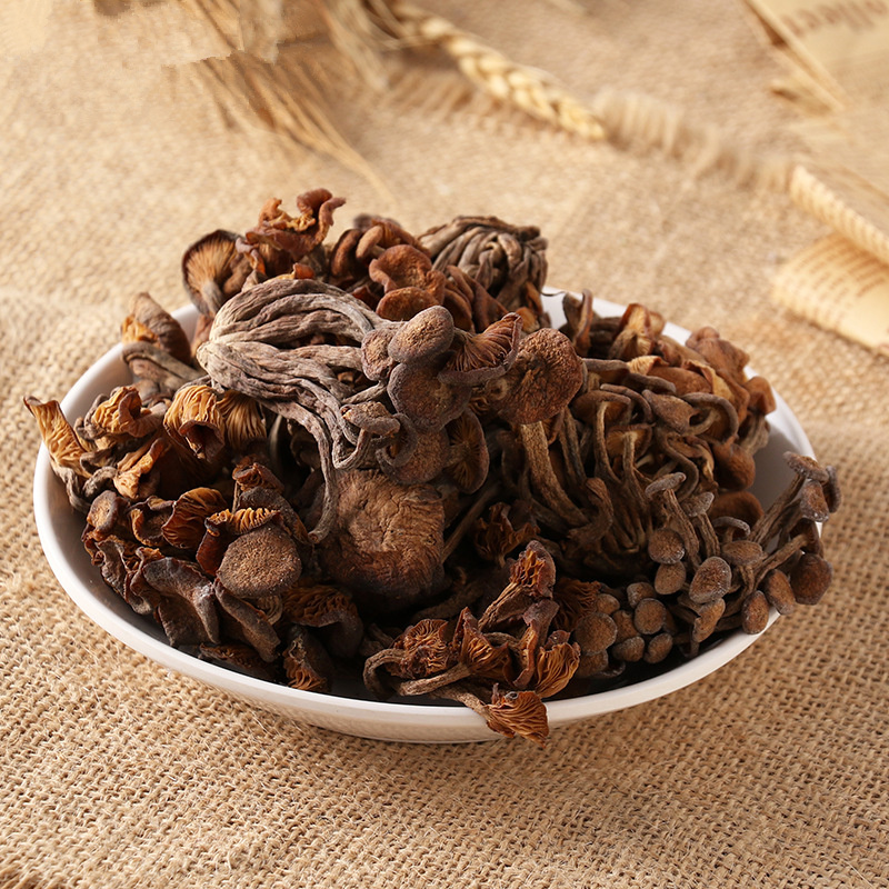 High Quality Premium Qing Gang Jun Dried Tricholomas Matsutake Mushroom