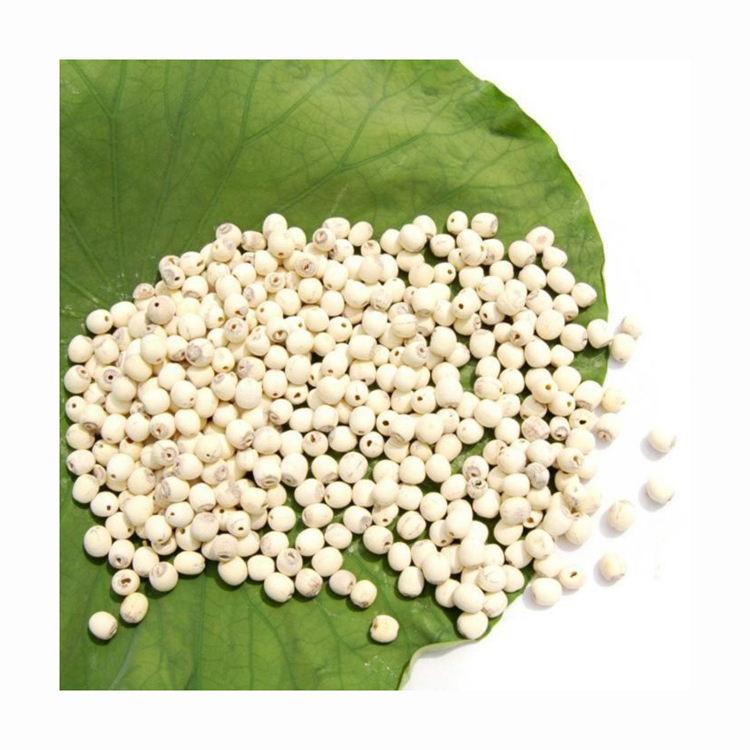 Natural Dried No Additives Lotus Seeds Edible Flower Seed Lian Zi