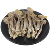 High Quality Natural Dry Deer Antler Mushroom Healthy Food Velvet Mushroom