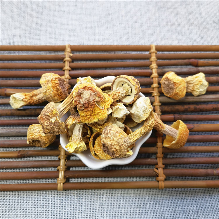 Best Quality Wild Plants Fresh Wild Mushrooms Chinese Dried Herbs