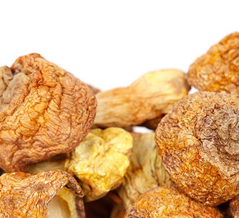 Natural Wild Tricholoma Matsutake Dried Agaricus Blazei Mushroom for Cooking