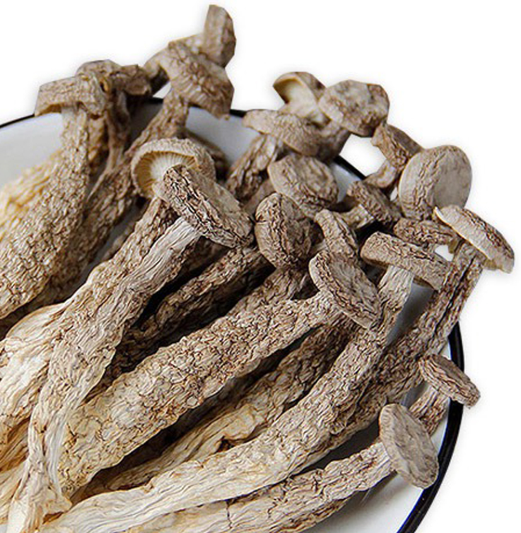 Top Quality Antler Mushroom Natural Herbs Health Product Pilose Antler Mushroom