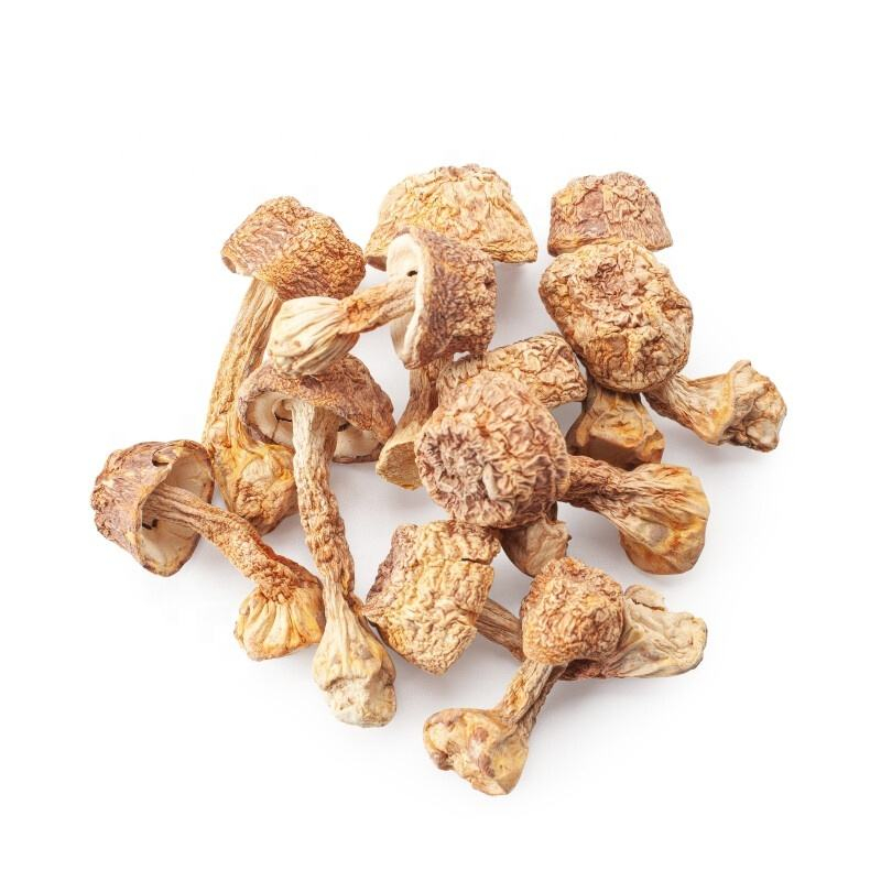 Wholesale Nutritive Dried Agaricus Blazei Murill Mushroom Edible Fungus