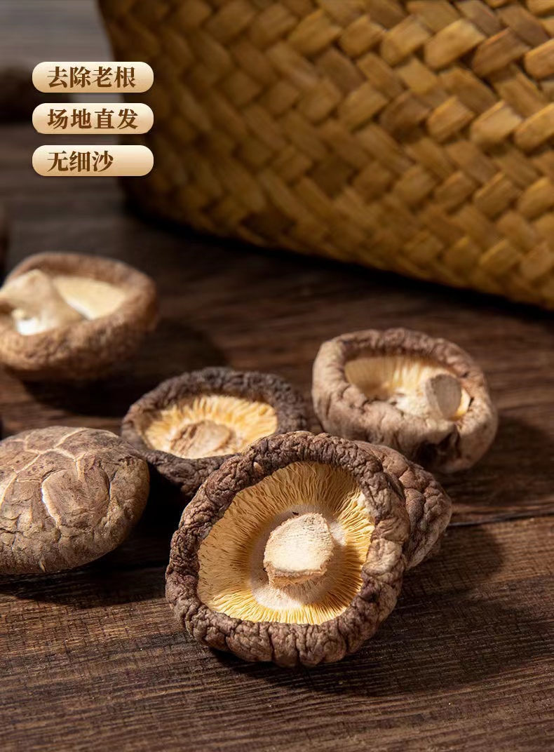 100% Organic Dried Vitamin Supplement Health Care Shii-Take Mushroom