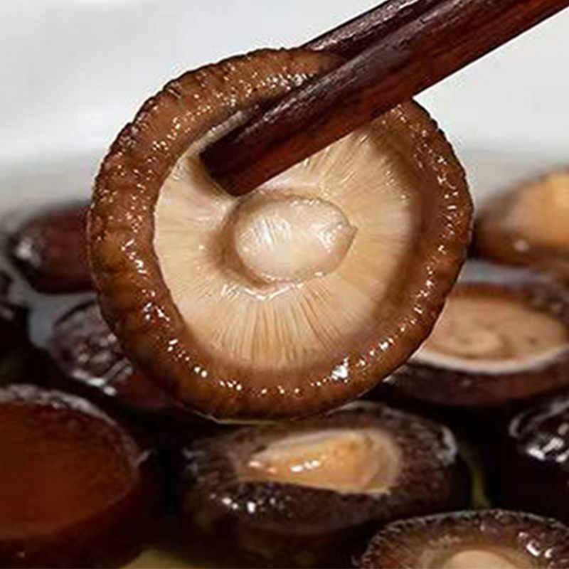 Wholesale Herbs Xiang Gu Chinese Herbal Food Natural Shiitake Mushroom