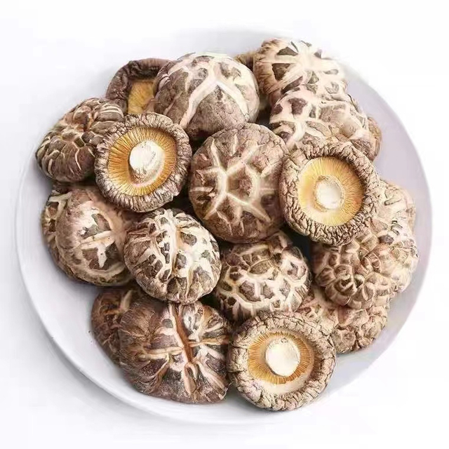 Good Quality Natural Healthy Food Dried Shiitake Mushroom Organic Mushrooms