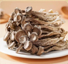 Best Selling Medicine Health Care Pilose Antler Mushroom for Cooking