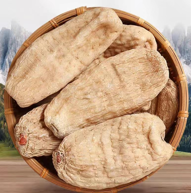 Tian Ma Bulk Dried Herb Gastrodia Tuber/Rhizoma Gastrodiae/Gastrodia Elata for Sale
