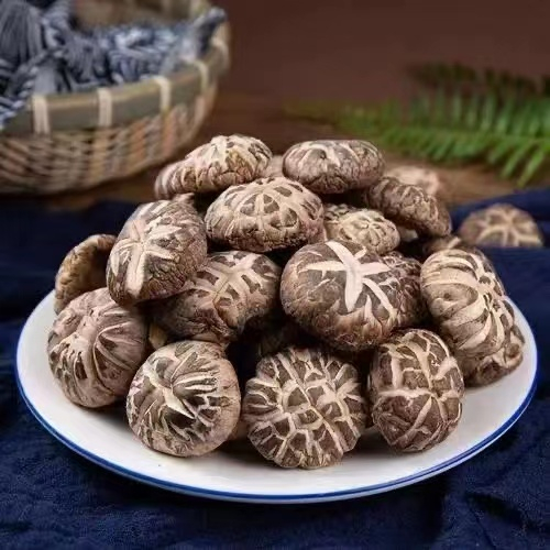 Wholesale Organic Chinese Herbs Dried Shiitake Mushrooms in Bulk