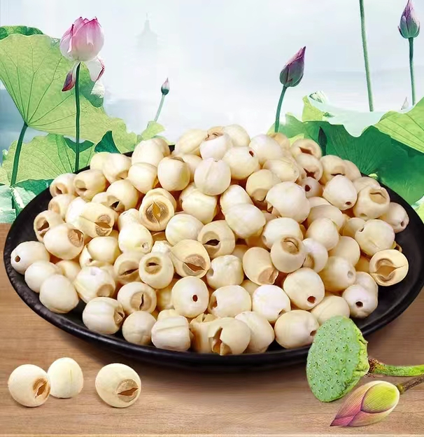 High Quality Agricultural Product Chinese Herbal Medicine Dried White Lotus Seed