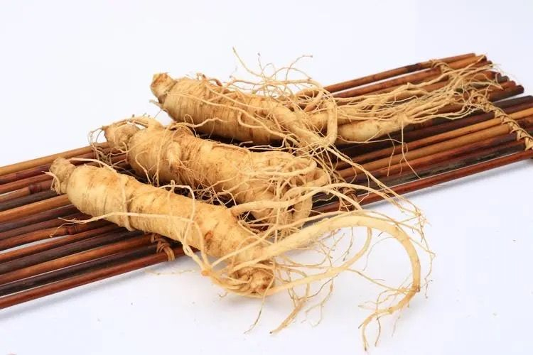 Wholesale Organic Chinese Herbs Refreshing The Mind American Ginseng Slices