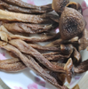 High Quality Natural Dry Deer Antler Mushroom Healthy Food Velvet Mushroom