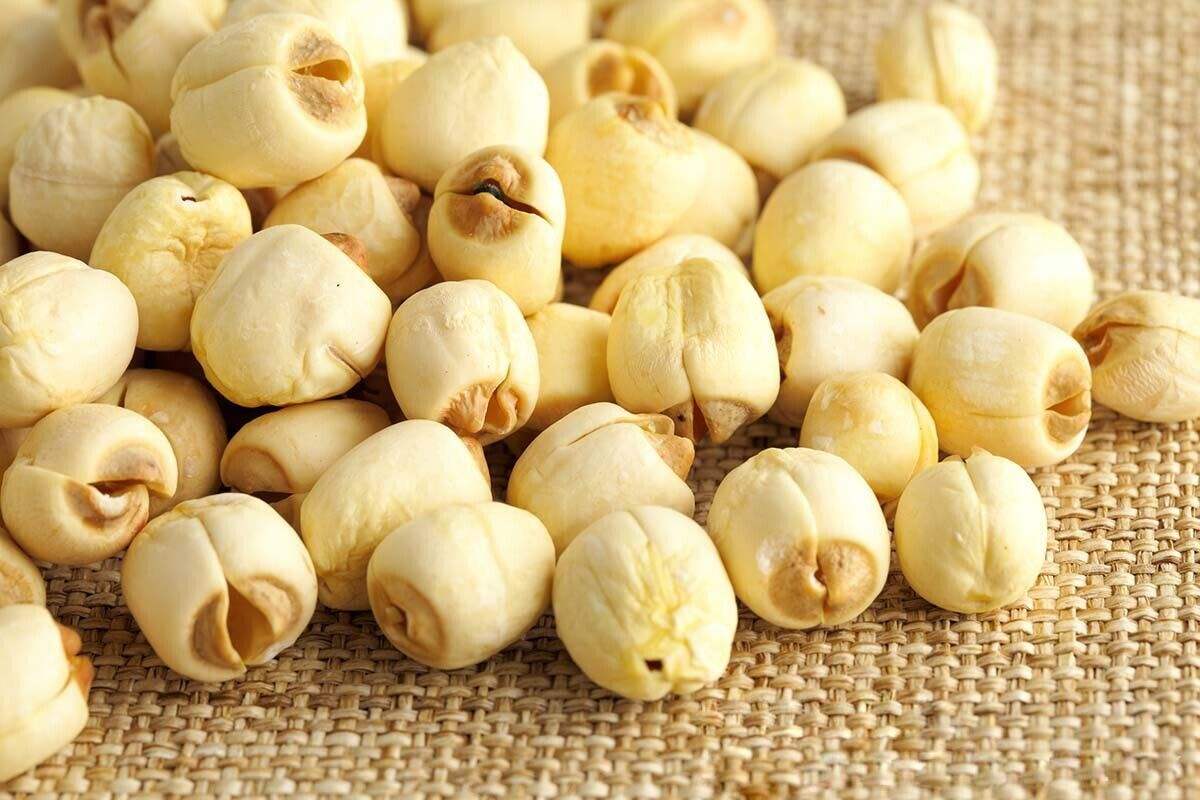 lotus nut