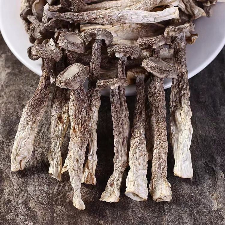 Factory Wholesale Lu Rong Gu Natural Grown Dried Velvet Antler Mushroom