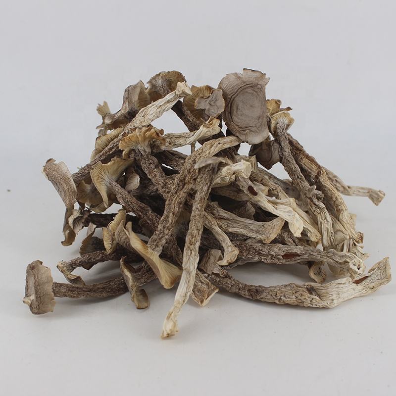 High Quality Natural Dry Deer Antler Mushroom Healthy Food Velvet Mushroom