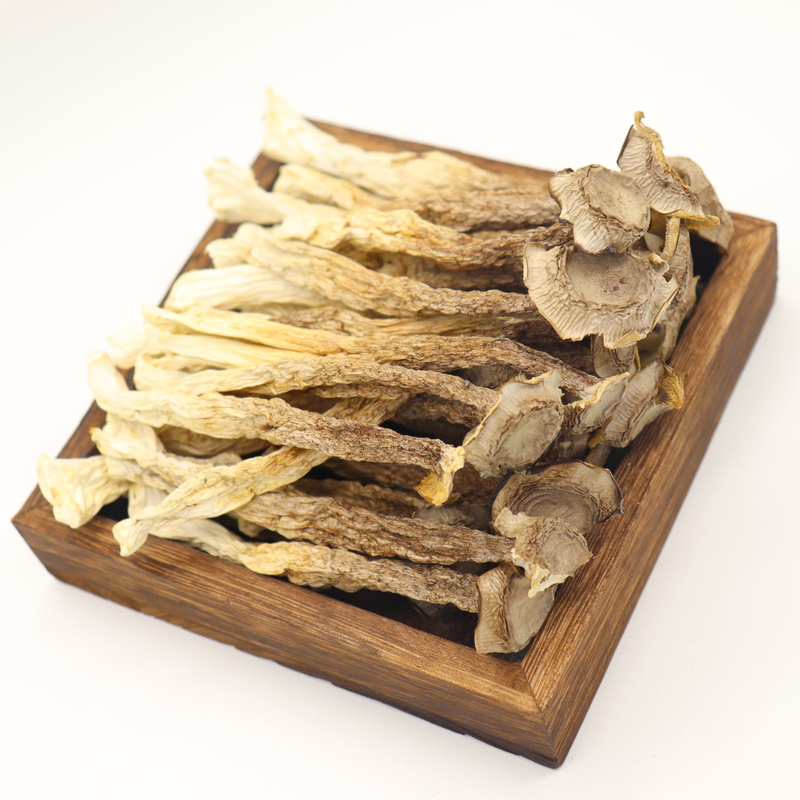 Factory Supply Vitamin Supplement Dried Pilose Antler Mushroom for Sale